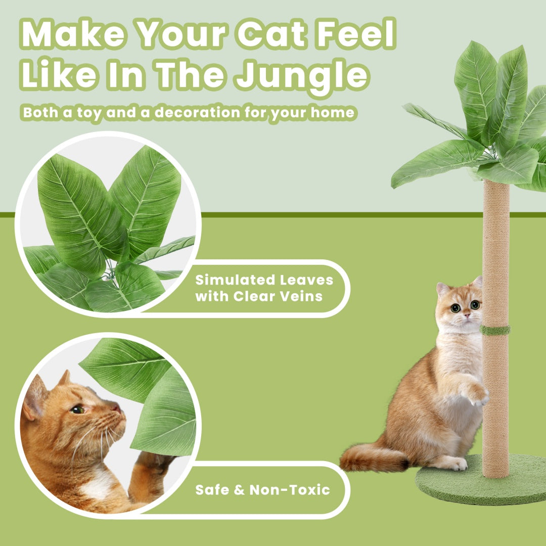Indoor Oasis Cat Scratching Post  33" Tall with Dangling Toy Ball