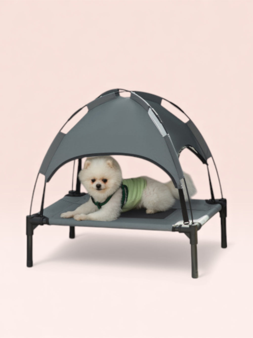 24" Elevated Pet Cot with UV-Resistant Canopy