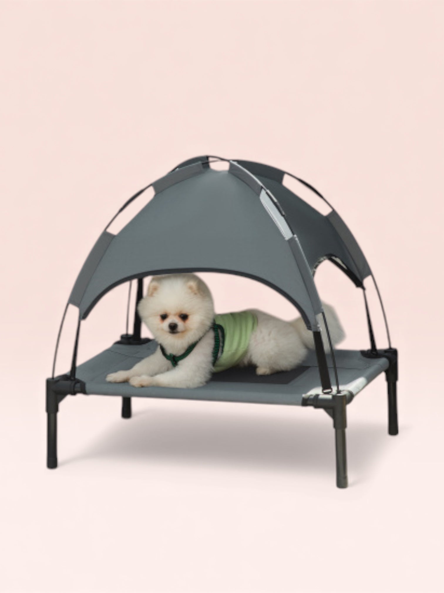 24" Elevated Pet Cot with UV-Resistant Canopy
