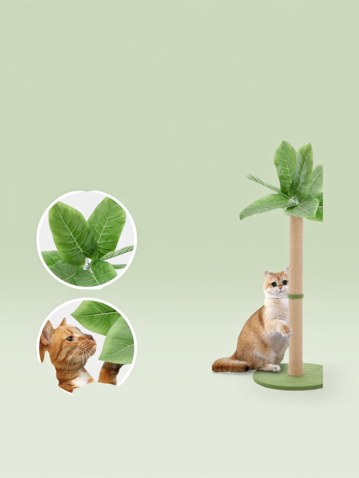 Indoor Oasis Cat Scratching Post  33" Tall with Dangling Toy Ball