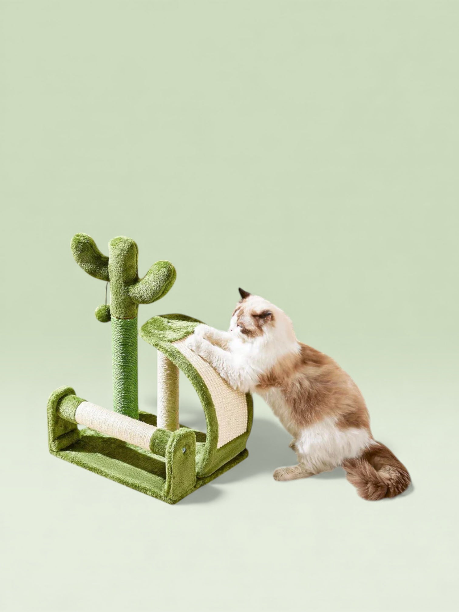 Cactus Shape Natural Sisal Rope Green Cat Scratching Post