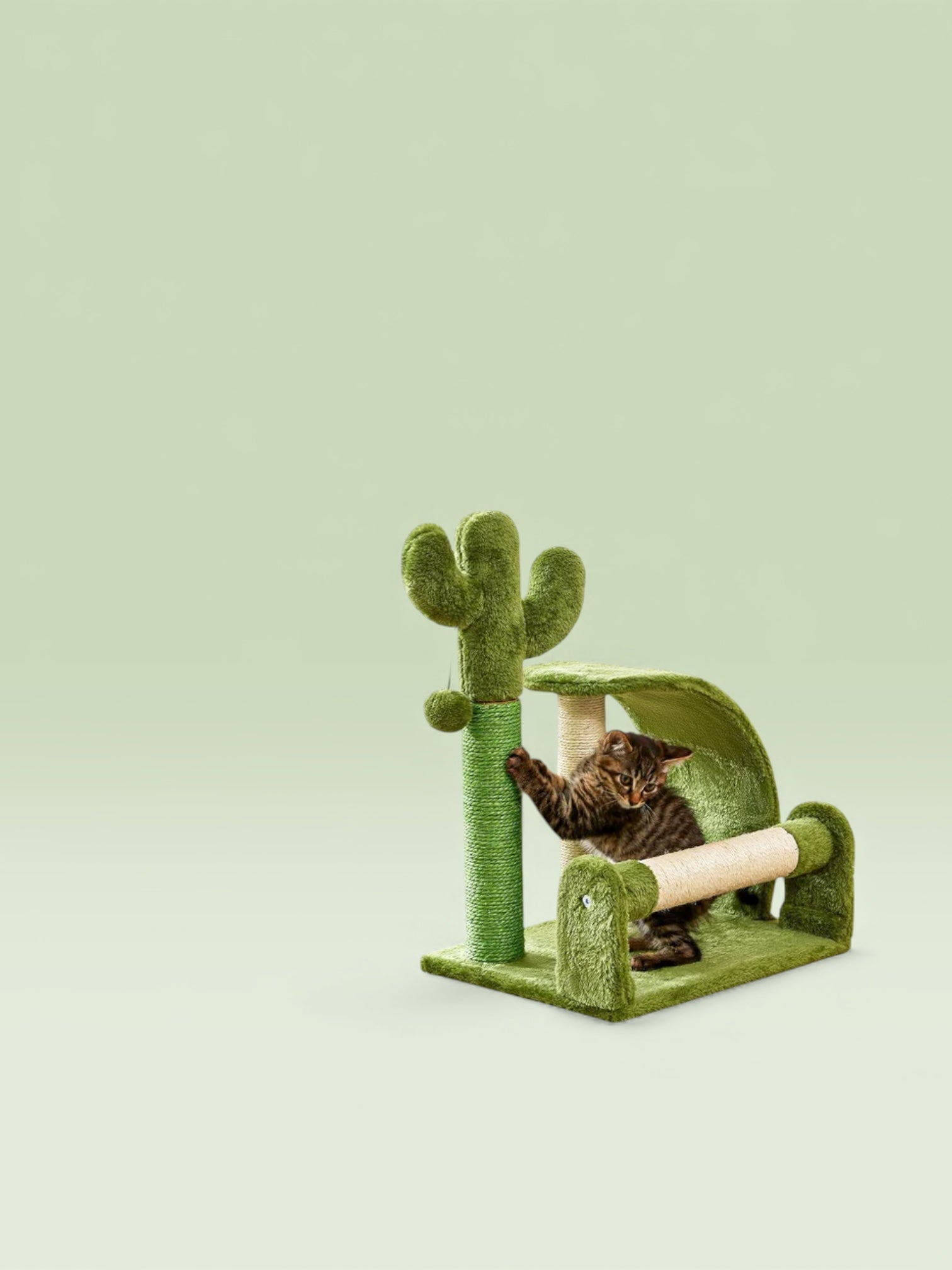 Cactus Shape Natural Sisal Rope Green Cat Scratching Post