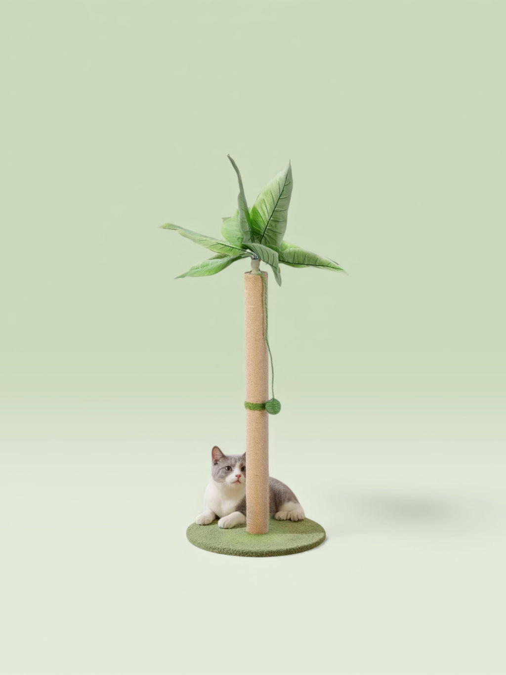 Indoor Oasis Cat Scratching Post  33" Tall with Dangling Toy Ball