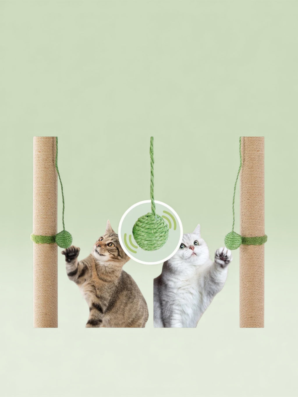 Indoor Oasis Cat Scratching Post  33" Tall with Dangling Toy Ball