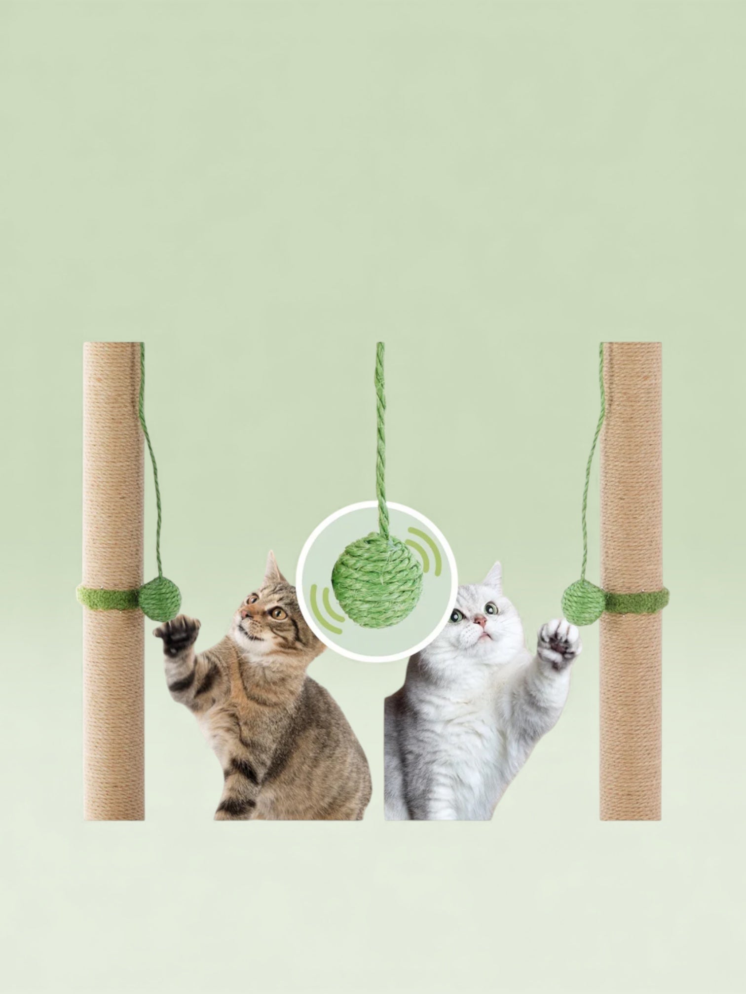 Indoor Oasis Cat Scratching Post  33" Tall with Dangling Toy Ball