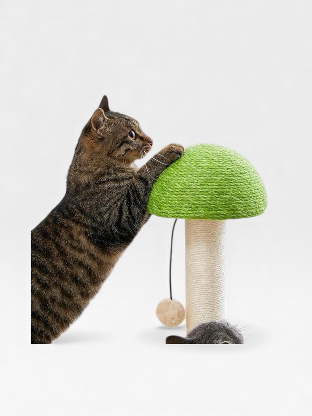 Mushroom Sisal Rope 2 In 1 Wooden Interactive Ball Track Ball Cat Scratching Post Cat Scratching Board